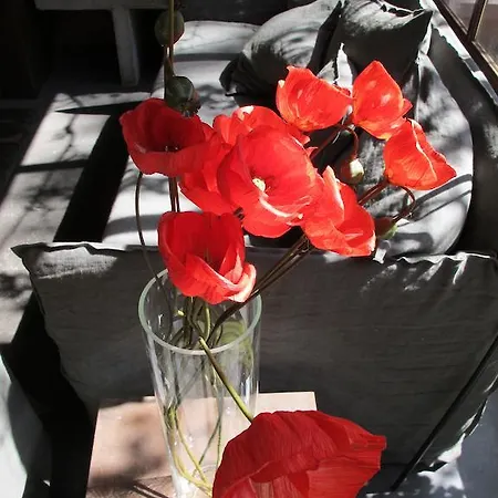 Bed & Breakfast Les Pierres Sauvages Besse-sur-Issole