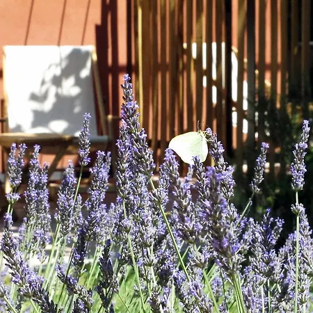 Bed & Breakfast Les Pierres Sauvages Besse-sur-Issole